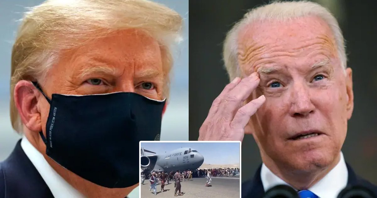 t1 87.jpg?resize=1200,630 - "Taliban Takeover Would NEVER Occur If I Were President"- Donald Trump Tears Into Biden