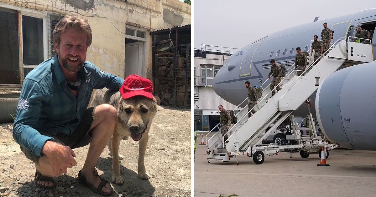 t1 91.jpg?resize=1200,630 - Ex-Marine's Plane With 173 Rescued Dogs And Cats Lands In UK From Afghanistan
