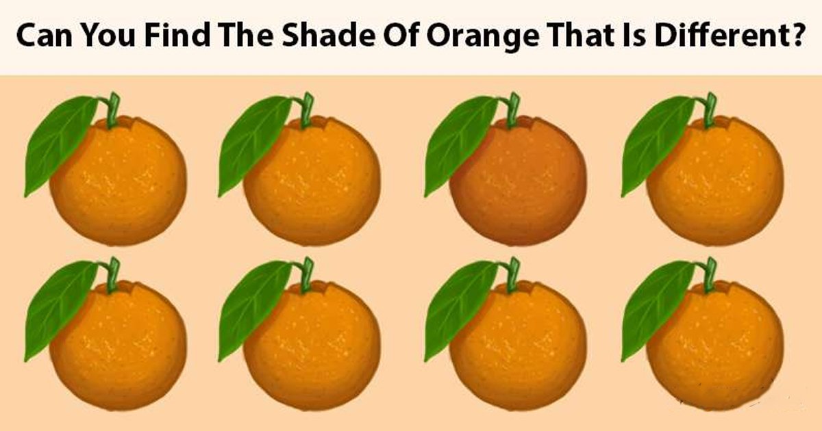 t2 83.jpg?fit=1024%2C538&ssl=1&strip=all - Let's See If You Can Train Your Brain To Answer This Tricky Riddle!
