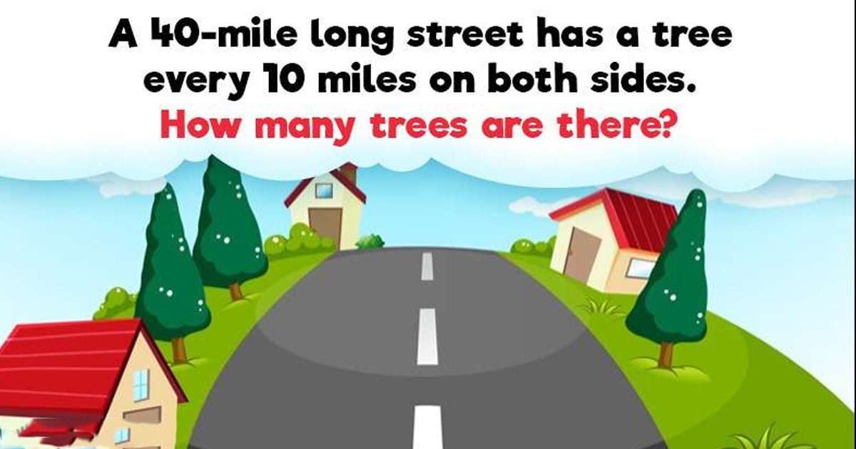 t4 86 1.jpg?fit=1024%2C538&ssl=1&strip=all - Only 1 In 30 Viewers Could Achieve Success In This Challenge! What About You?