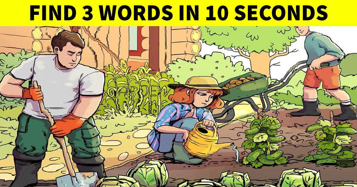 t4 89.jpg?fit=1024%2C538&ssl=1&strip=all - This Tricky Puzzle Is Playing With People's Minds! Can You Answer Correctly?