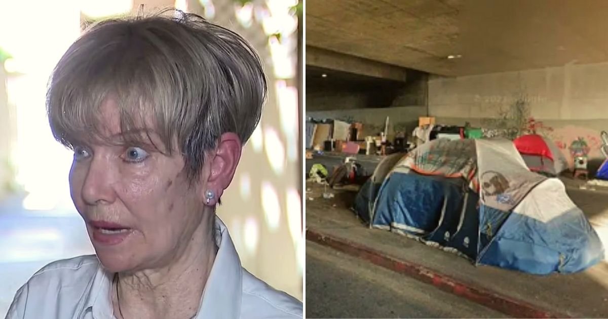 todd2.jpg?resize=412,232 - 64-Year-Old Woman Sues Los Angeles After Suffering Injuries To Her Brain, Back, Hip, Leg And Arm