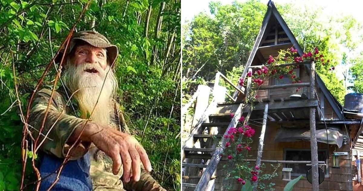 untitled design 15.jpg?resize=412,232 - 81-Year-Old Man Arrested For 'Squatting' On Private Land Where He Lived In Secret For Three Decades