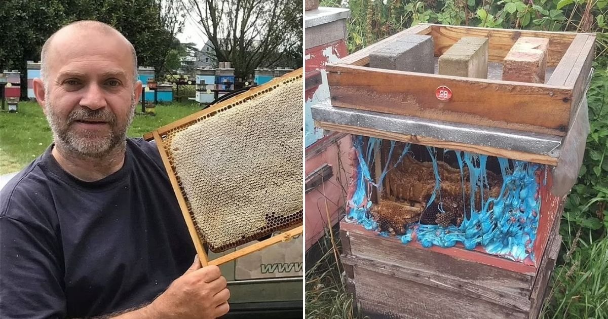 untitled design 30 1.jpg?resize=1200,630 - Hardworking Man Is 'Totally Devastated' After Thugs Destroy His Bee Family For No Reason