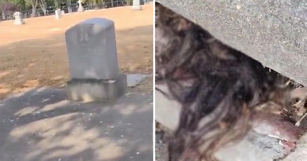 1c7b3094 e9f2 45f3 9650 bf0c1db812d4.jpg?resize=1200,630 - California Man Makes Startling Discovery At Cemetery After Stumbling Upon 'Hair' Poking Out From 100-Year-Old Grave