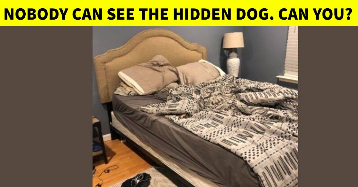 6 18.jpg?resize=412,275 - How Quickly Can You Beat The Odds By Finding The Hidden Pooch?