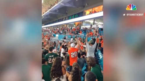 Watch-Miami-Fans-Using-American-Flag-To-Catch-Falling-Cat-at-Hard-Rock-Stadium-0-26-screenshot