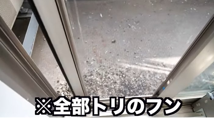 google.co.jp