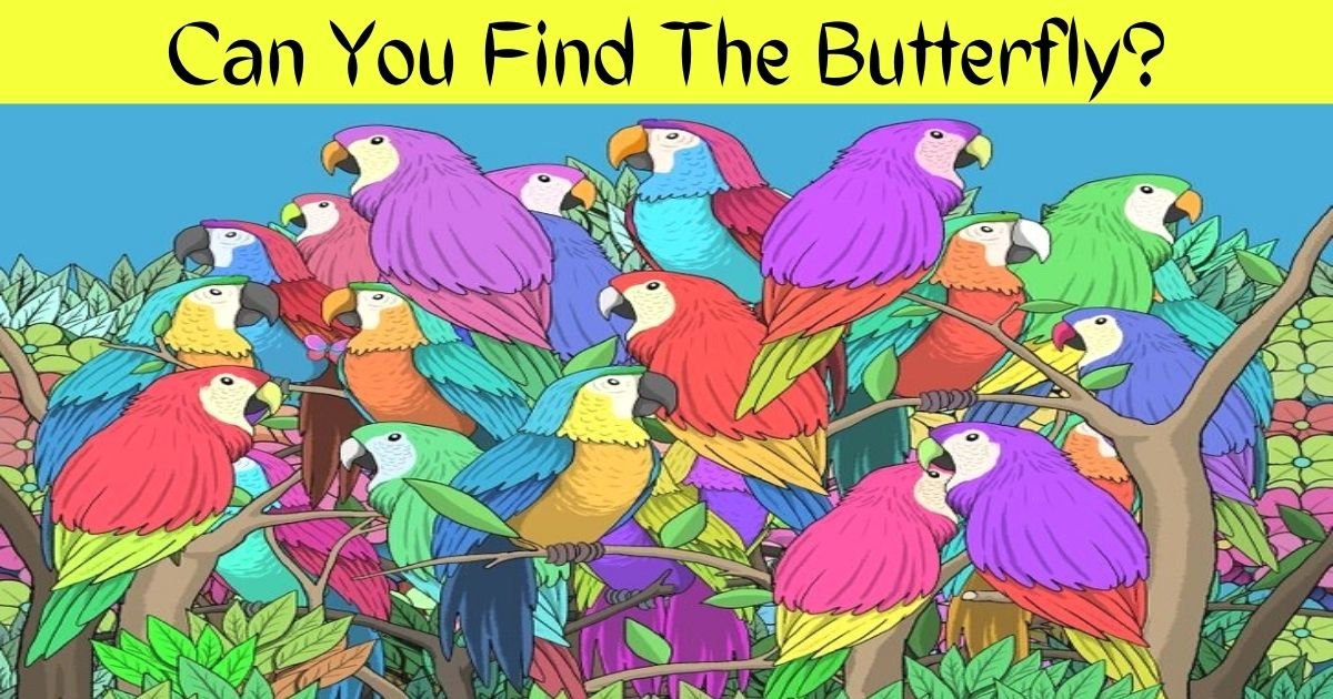 can you find the butterfly.jpg?resize=412,275 - 90% Of People Couldn't See The BUTTERFLY Hiding Among Colorful Parrots! But Can You?