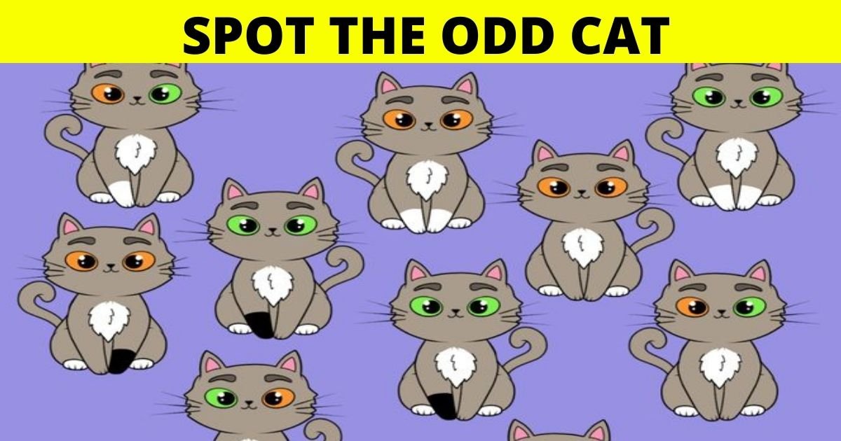 cat4.jpg?resize=1200,630 - 90% Of People Couldn't Figure Out The Answer To This Picture Puzzle! But Can You Solve It?