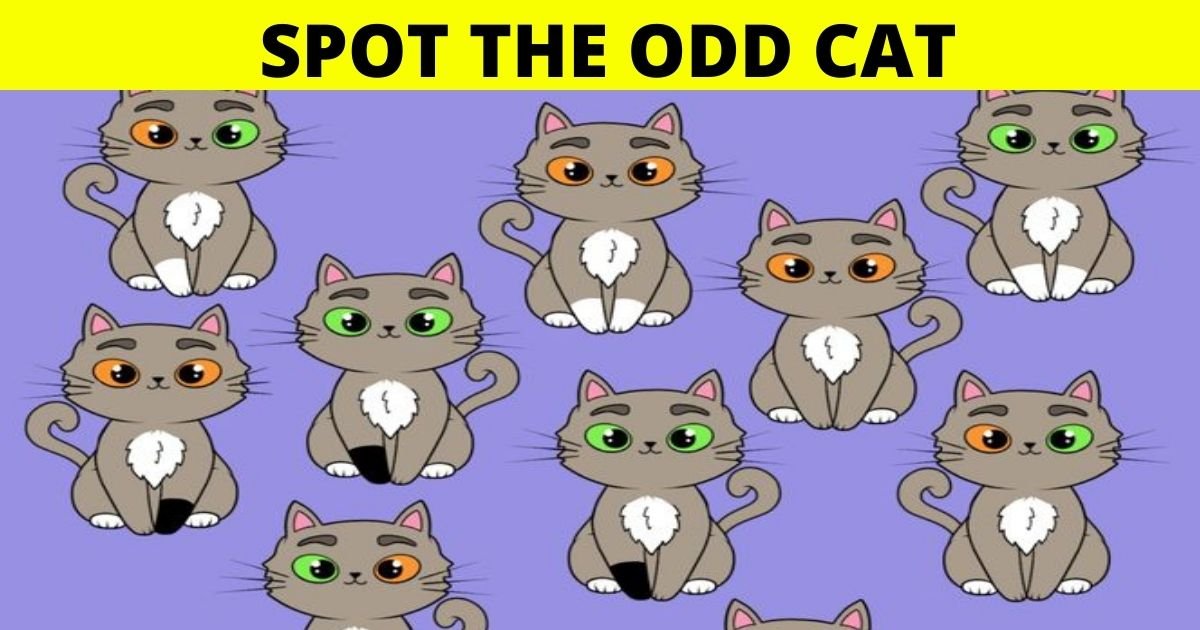 cat4.jpg?resize=412,232 - 90% Of People Couldn't Figure Out The Answer To This Picture Puzzle! But Can You Solve It?