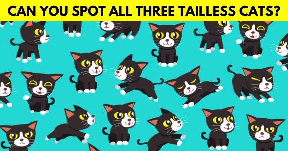 cats4.jpg?resize=412,232 - How Fast Can You Spot The Tailless Cats In This Fun Picture Puzzle?