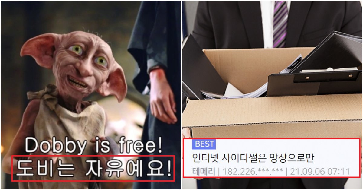 collage 169.png?resize=412,275 - 인터넷 보고 회사 퇴사할 때, 의외로 하면 안된다는 것들 (+사진)