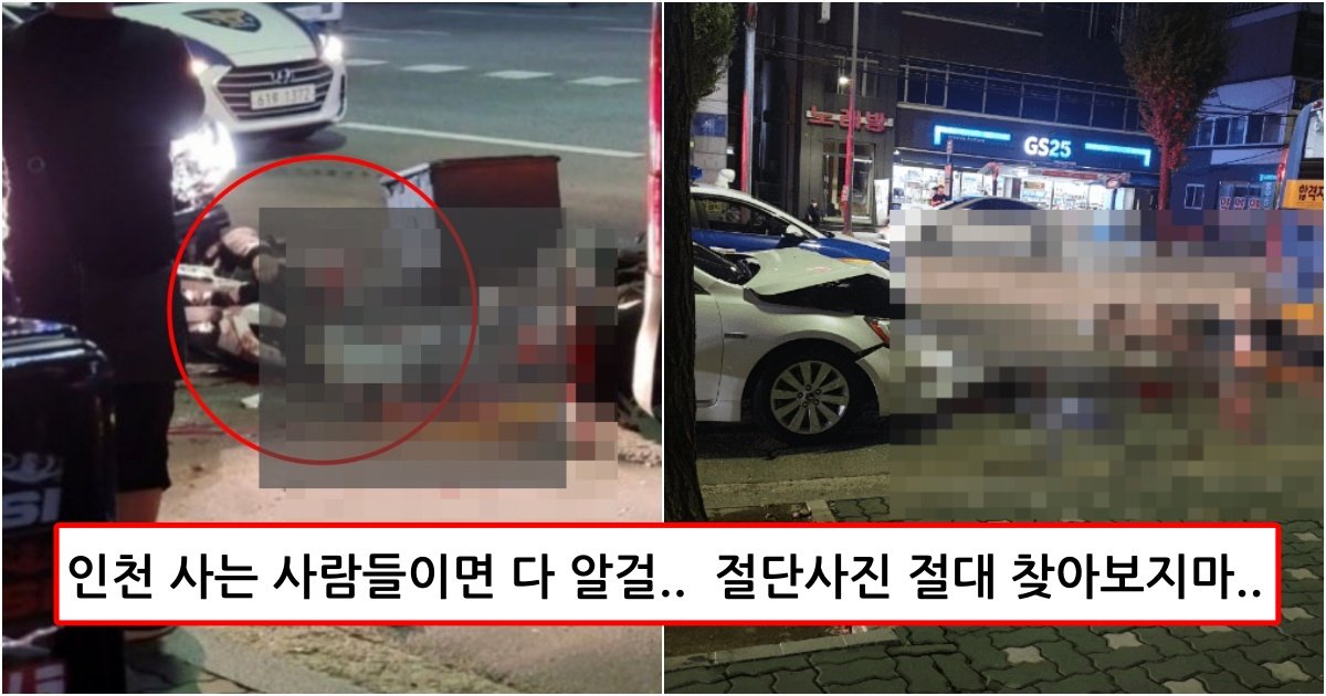 collage 181.jpg?resize=412,275 - 지금 난리 난 K7이 버스 뒤에서 신호대기 중이던 오토바이 박아버려 다리 절단된 배달 기사 (사진)