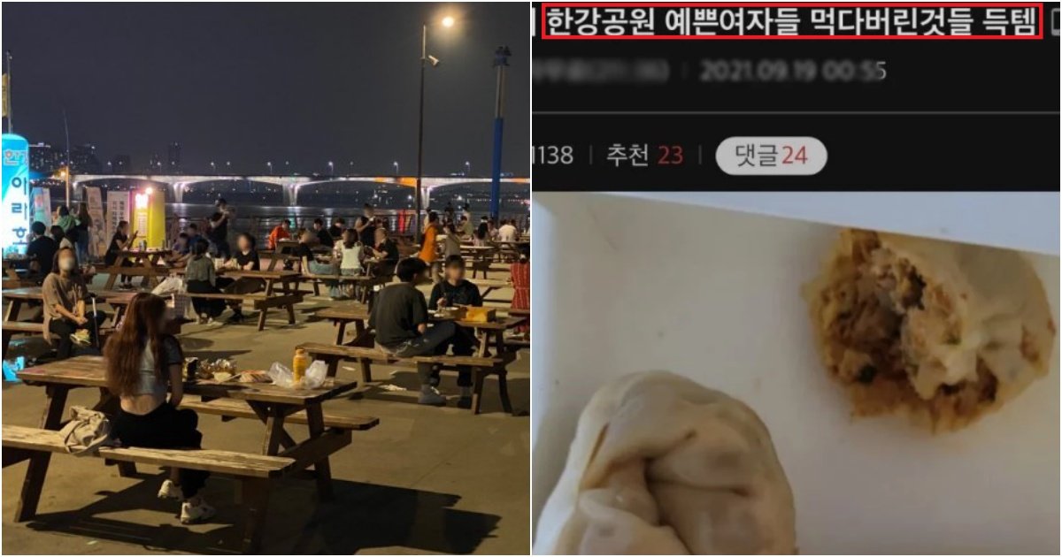 collage 186.jpg?resize=412,275 - "소름과 충격입니다.."한강에서, 예쁜 여성이 버린 음식만 먹는 남성 인증 글(+사진)