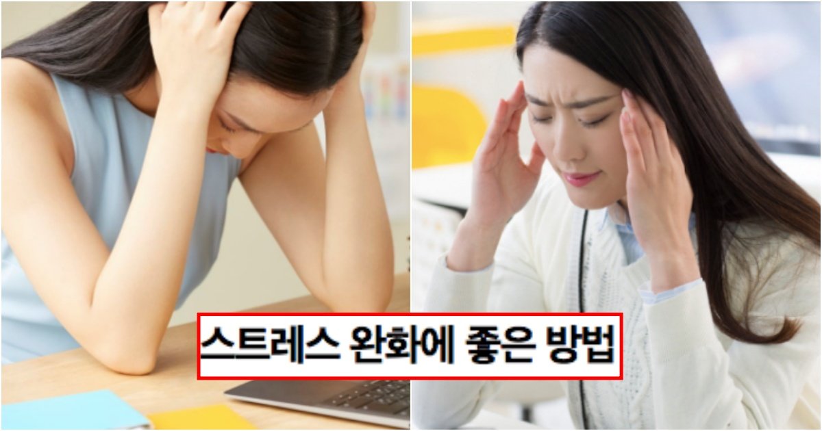 collage 234.jpg?resize=412,275 - 우리가 지나치고 가는 스트레스를 쉽게 완화 할 수 있는 5가지 방법