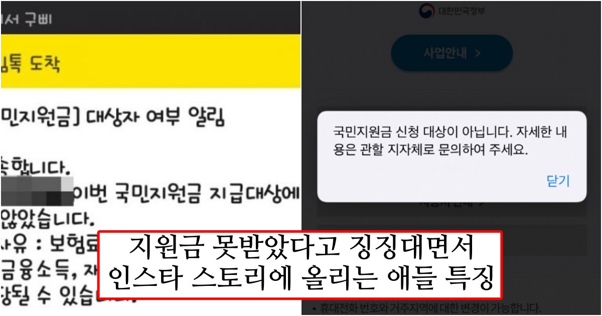 collage 250.png?resize=412,275 - "재난지원금 못 받았다면서 인스타 스토리 올리는 이유가 도대체 뭐임?"