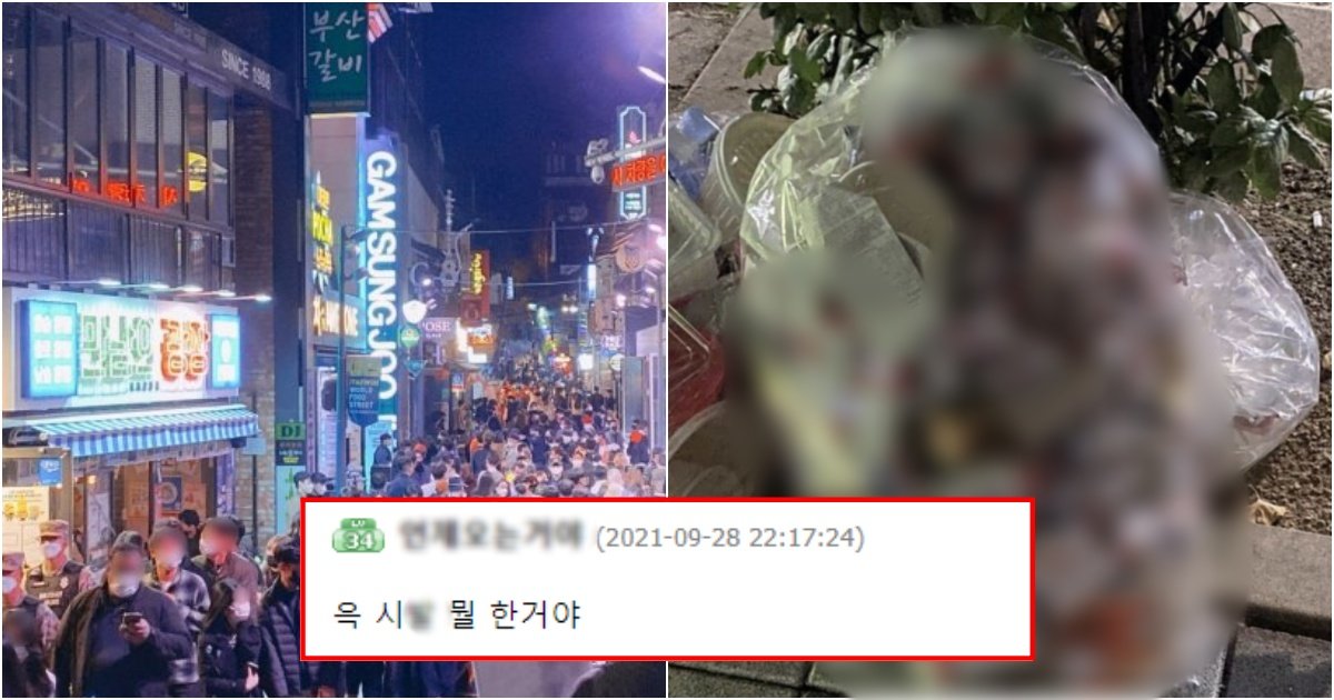 collage 259.jpg?resize=412,275 - 실시간 두 눈 의심하게 만들며 제대로 난리 난 이태원 재활용 쓰레기에 담긴 물체