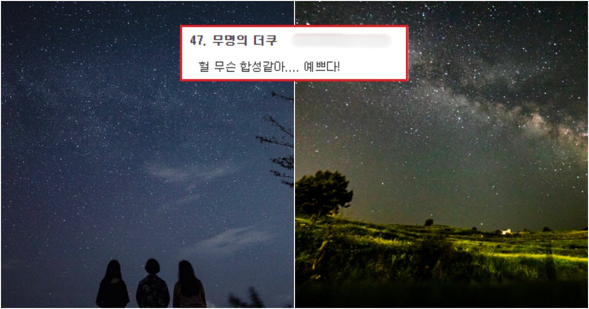 collage 296.png?resize=412,275 - "이번 여행지는 여기다!!!"..국내에서 유일하게 반딧불이와 은하수가 펼쳐지는 이 지역