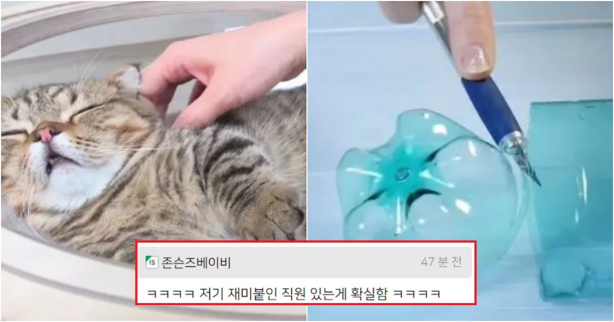 collage 317.png?resize=412,275 - 유튜브 직원이 수동으로 추천하는 게 확실한 유튜브 알고리즘