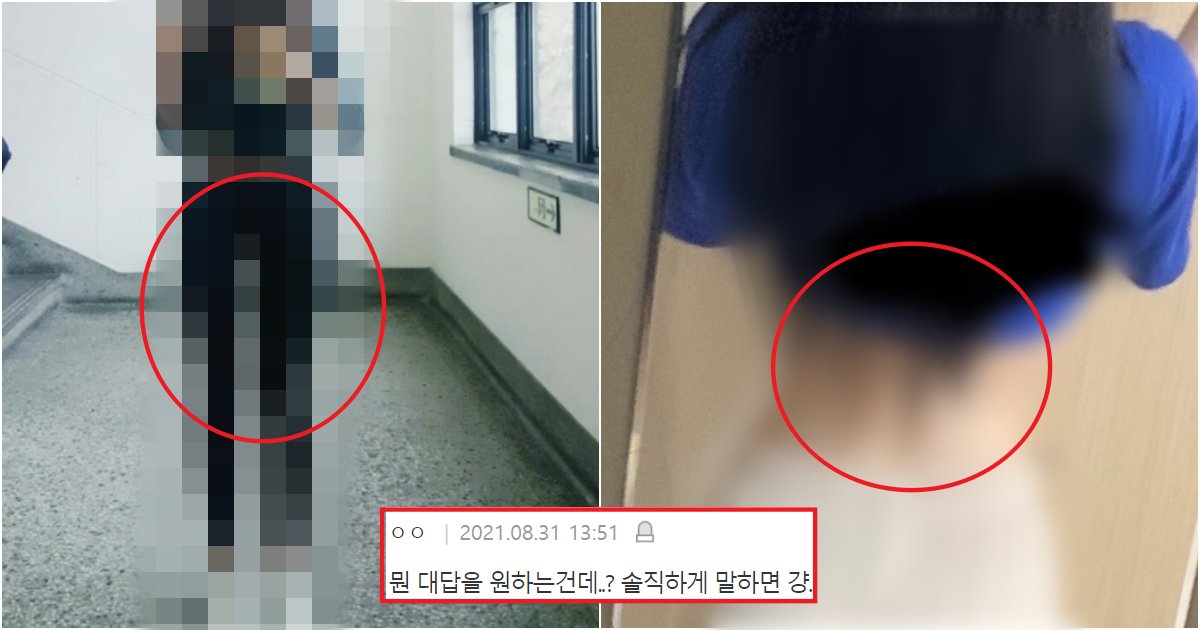 collage 4.png?resize=1200,630 - "얘들아 진짜 솔직하게, 내 바지핏은 어떤 편에 속해???"