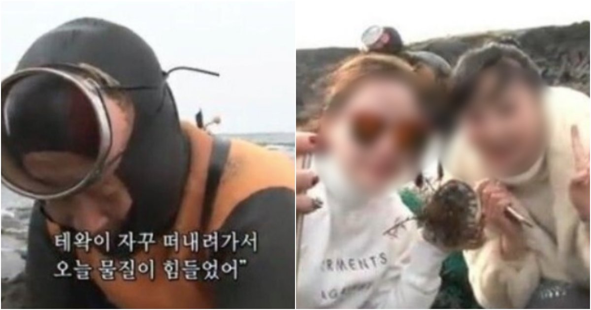 collage 41.png?resize=412,275 - 제주도 해녀 할머니와 전복 훔치고 인증샷까지 찍은 관광객 레전드  (+얼굴)