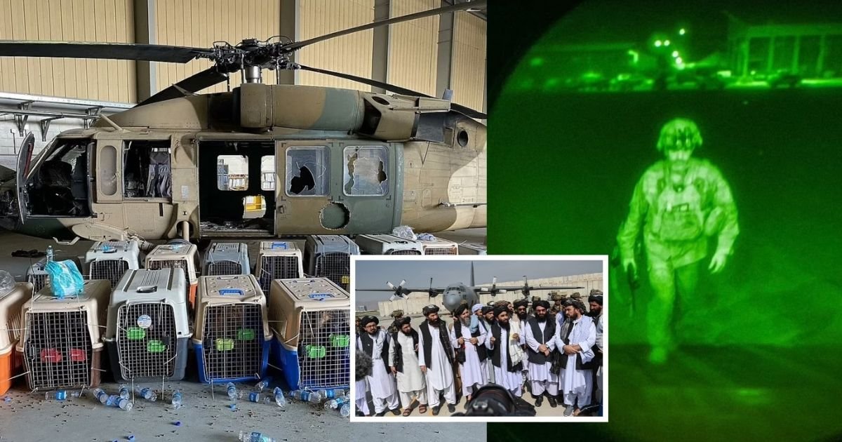 cover 1.jpg?resize=1200,630 - Animal Welfare Charity Claims US Troops Left Dozens Of Dogs Alongside Billions-Worth Of Military Equipment In Kabul