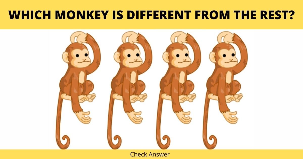 cover 5.jpg?resize=1200,630 - Eye Test: Which Monkey Is Different From The Rest?