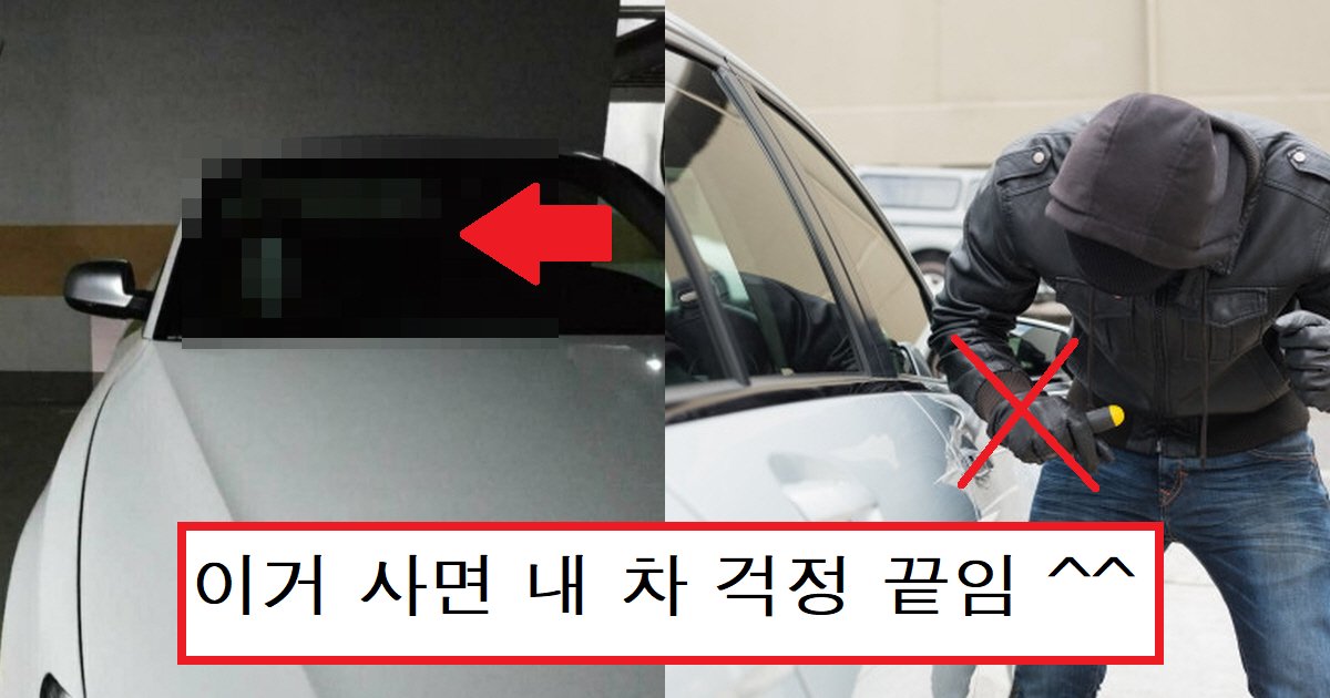 ecb0a8ec8db8.png?resize=412,275 - "저는 블랙박스 필요 없음 ㅋㅋㅋ"...주차한 내 차량 확실하게 지키는 '충격적인' 아이템