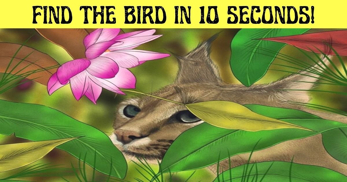 find the bird in 10 seconds.jpg?resize=412,232 - How Fast Can You Spot The Hidden Bird In This Picture Of A Wild Cat?