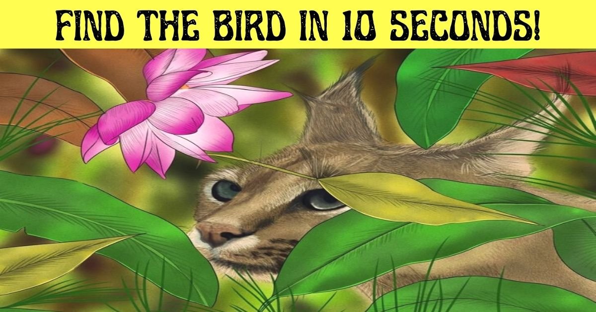 find the bird in 10 seconds.jpg?resize=412,275 - How Fast Can You Spot The Hidden Bird In This Picture Of A Wild Cat?