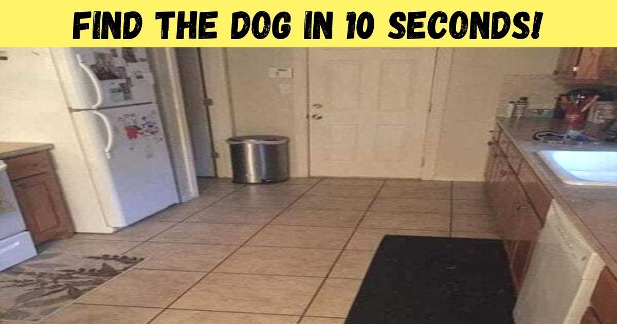 find the dog in 10 seconds.jpg?resize=412,232 - 95% Of People Can’t See The Dog In This Kitchen! But Can You Find The Pooch?