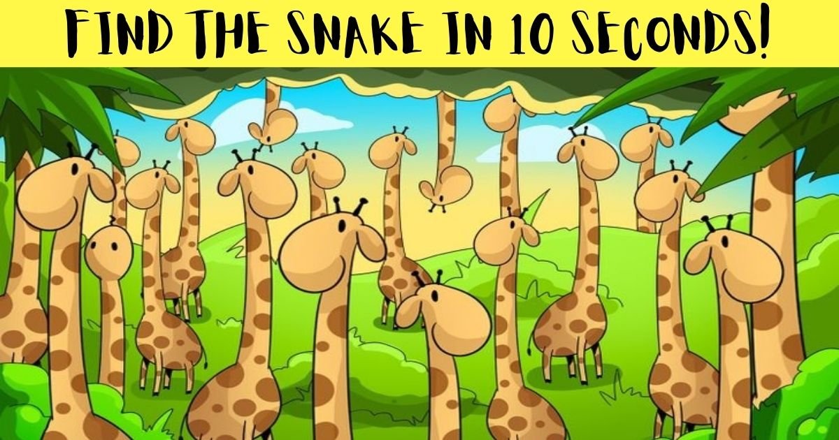 find the snake in 10 seconds.jpg?fit=1024%2C538&ssl=1&strip=all - How Fast Can You Spot The Hidden Snake In This Picture? Only 10% Of Viewers Shall Succeed!