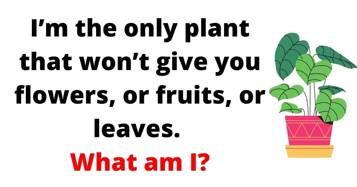 plant3.jpg?resize=412,232 - Brain Test: 85% Of People FAIL To Solve This Test! But Can You Figure Out The Answer To This Simple Question?