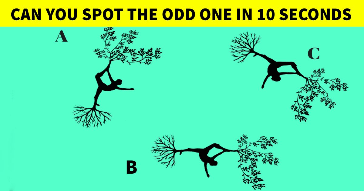 q4 3 1.jpg?resize=1200,630 - How Fast Can You Figure Out The Odd One Out In This Simple Graphic?