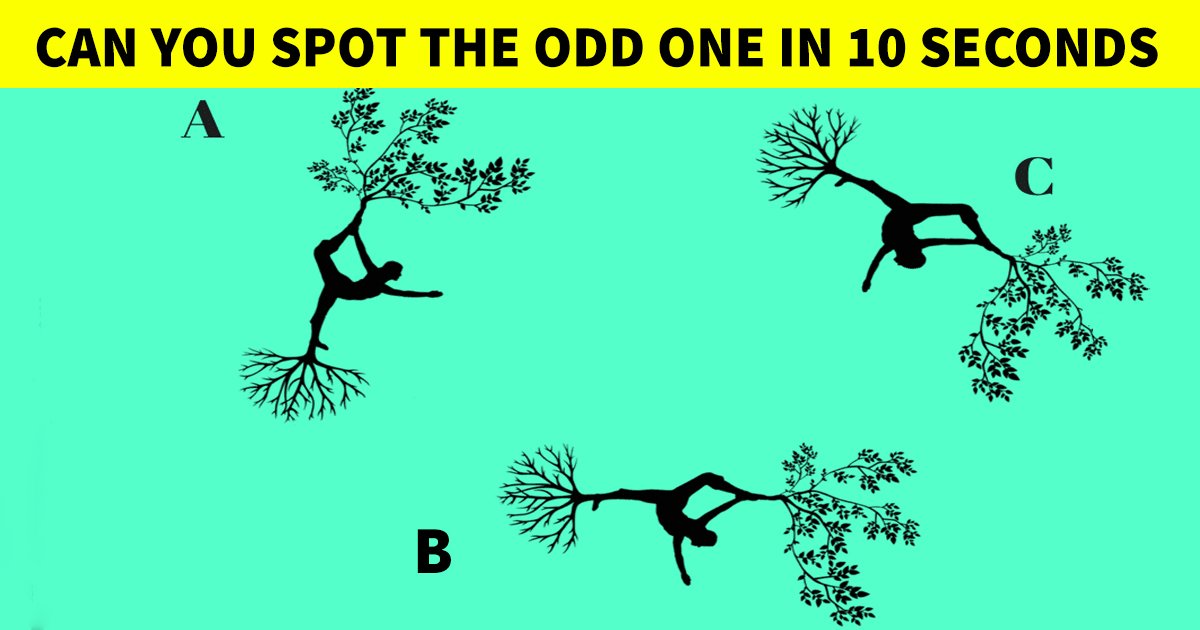 q4 3 1.jpg?resize=412,275 - How Fast Can You Figure Out The Odd One Out In This Simple Graphic?