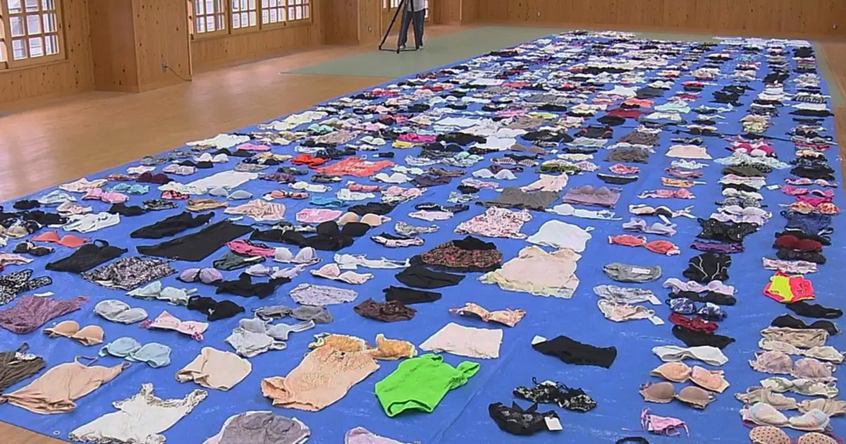 q5 34.jpg?resize=412,275 - 56-Year-Old Man Arrested For STEALING More Than '700 Pairs Of Women's Underwear' From Various Laundromats