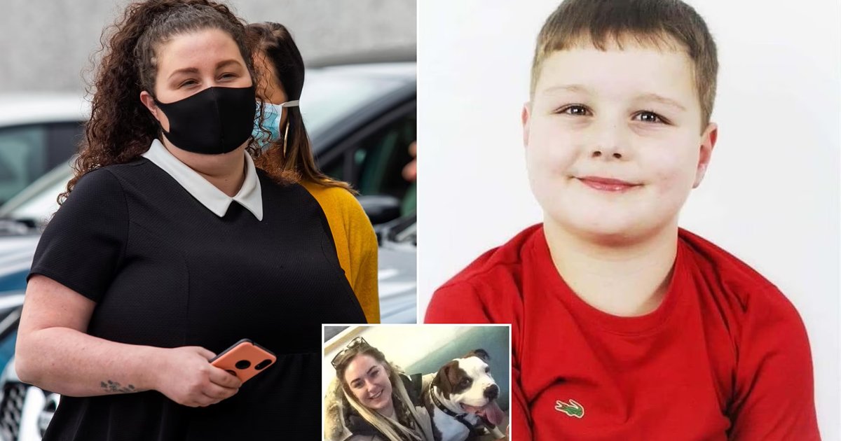q5 43.jpg?fit=1024%2C538&ssl=1&strip=all - GIANT American Bulldog Mauls 9-Year-Old Boy To Death After Mum Leaves Him Alone In Caravan To Enjoy Binge Drinking