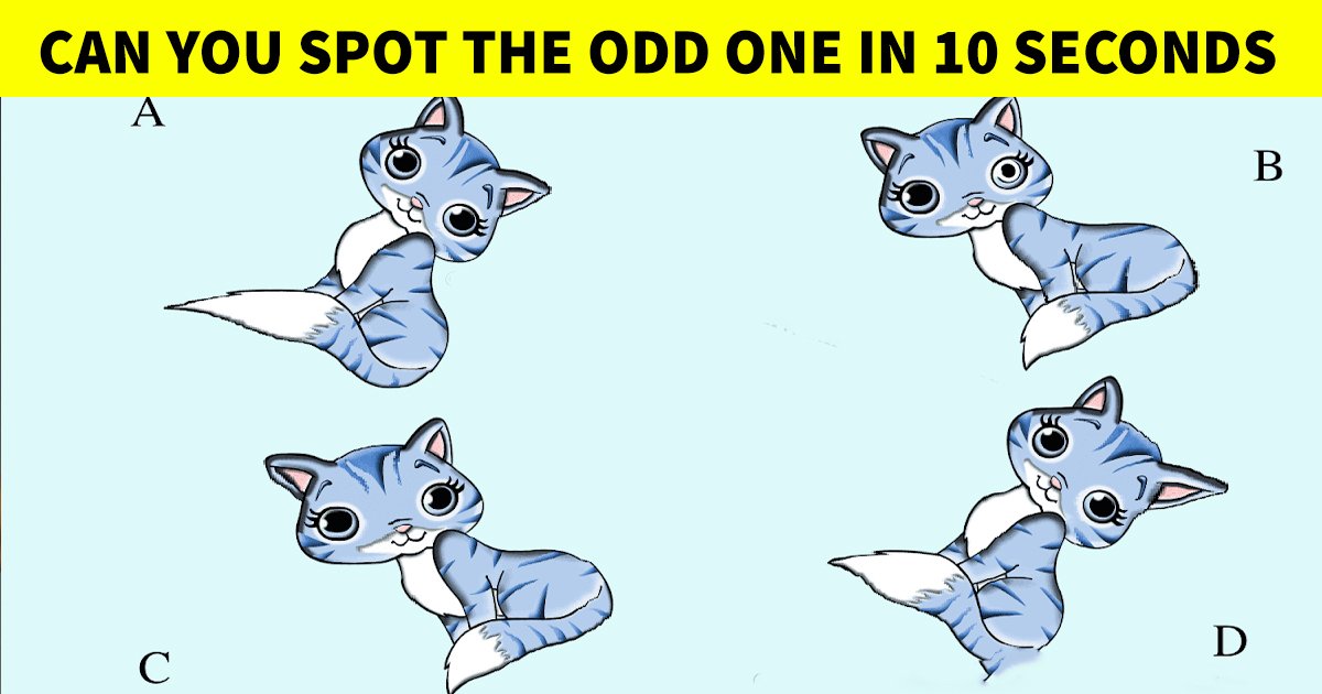 q6 3.jpg?resize=412,275 - Logic Test: This Mind-Teasing Challenge Is Blowing People's Minds! What About You?