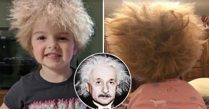 screenshot 2021 09 18 003057.png?resize=1200,630 - Albert Einstein Of This Century! 6-Year-Old Lookalike Of Albert Einstein Found In Newcastle