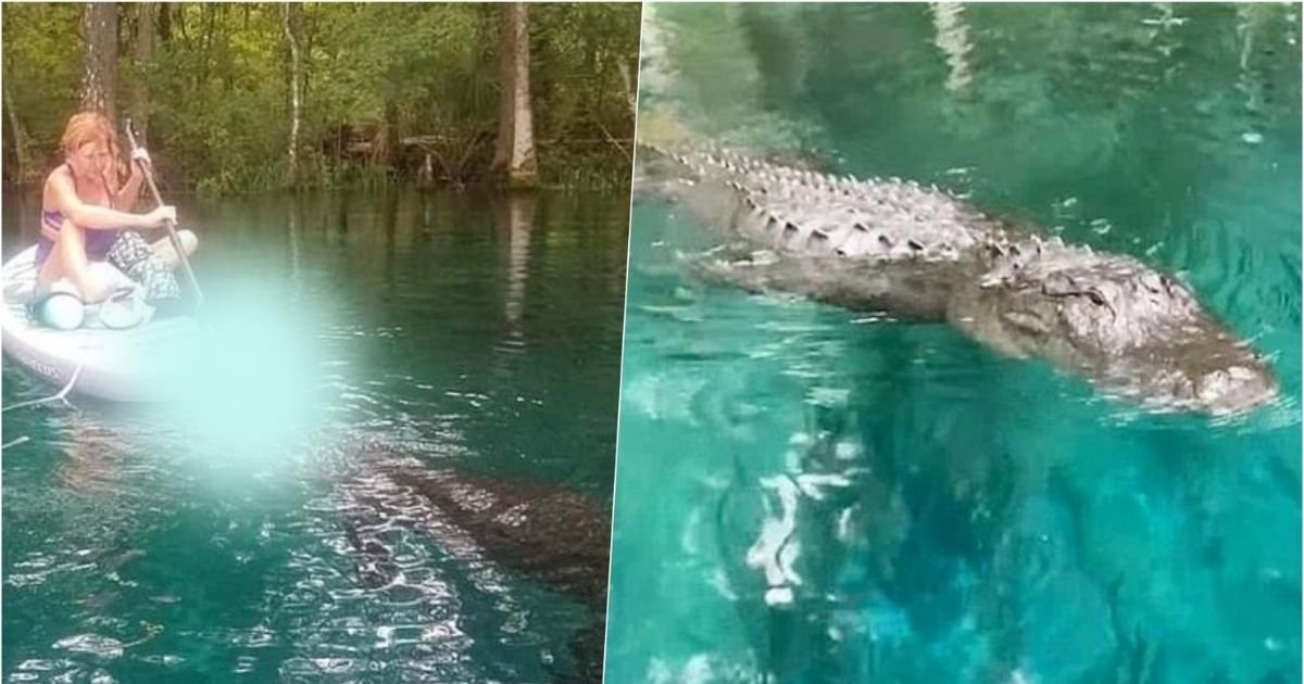 smalljoys 21.jpg?resize=412,275 - Terrifying Moment When Woman Fends Off Alligator With Her Paddle As It Tries To Bite Her Board Was Captured On Camera