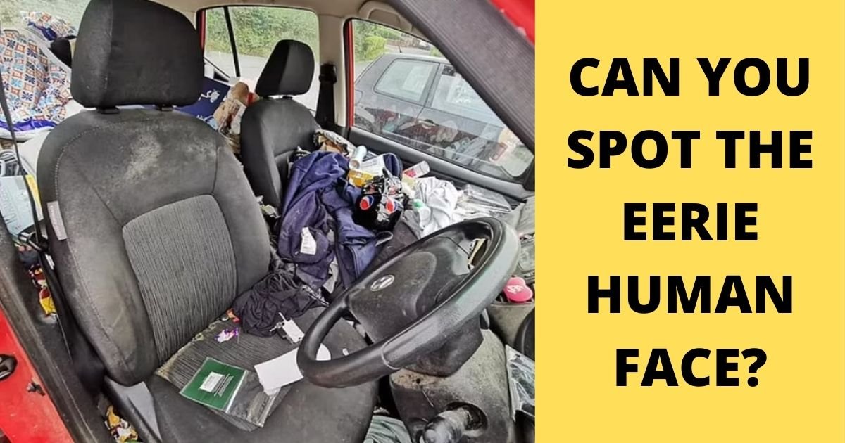 smalljoys 23.jpg?resize=412,232 - Eerie 'Human Face' Is Spotted In A Filthy Car Photo BUT Can You See It?