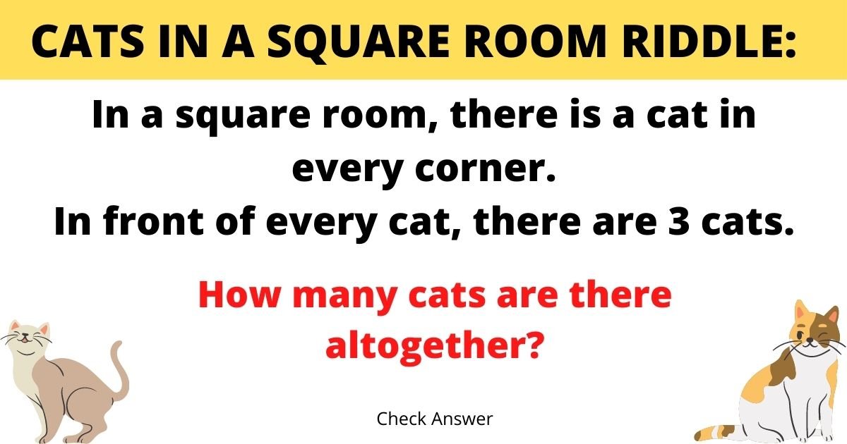 smalljoys 3.jpg?resize=1200,630 - How Fast Can You Solve This Mind Boggling Cat Riddle?