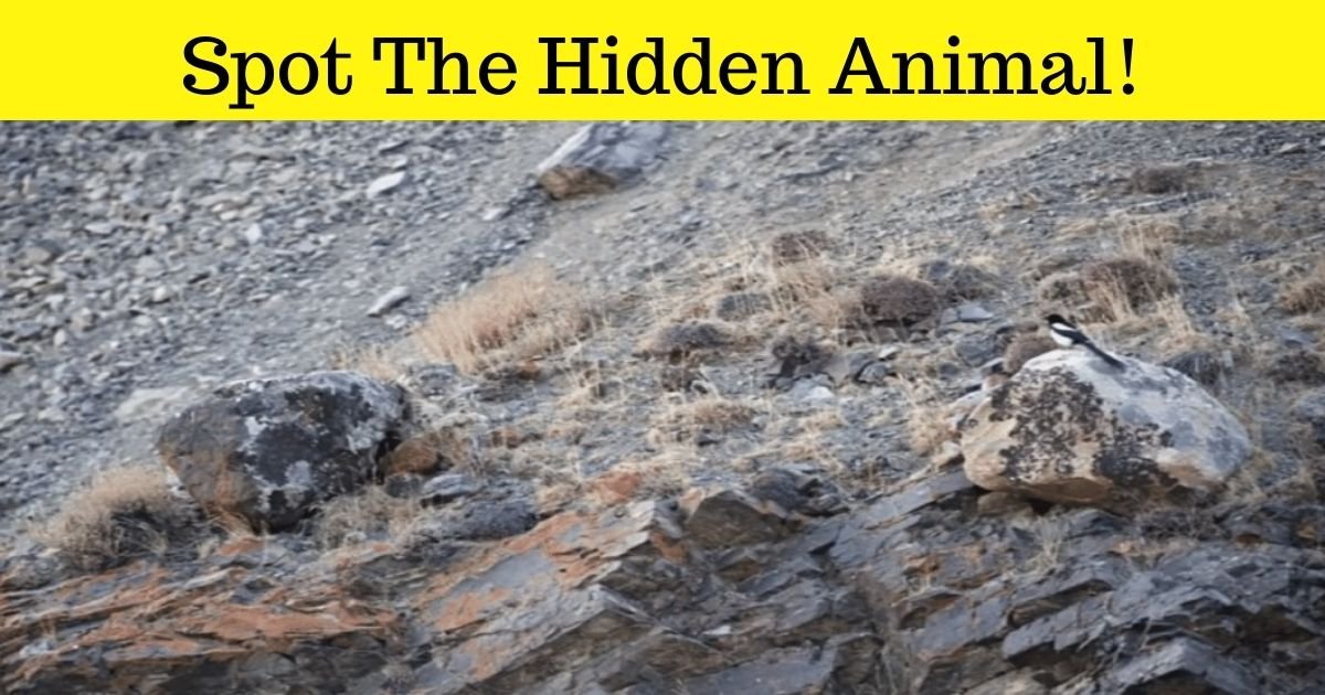 spot the hidden animal.jpg?resize=412,275 - How Fast Can You Spot The Hidden Animal In This Photo? It’s Very, Very Big!