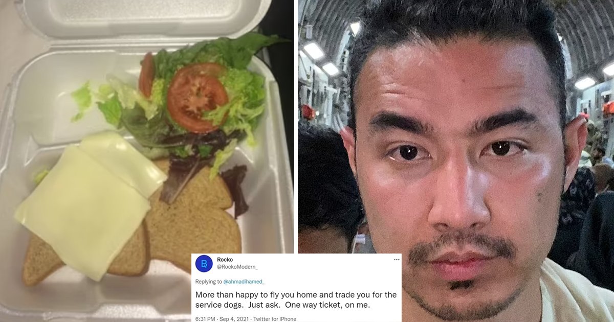 t3 97.jpg?resize=1200,630 - "We'd Trade You For A Service Dog"- Afghan Refugee Blasted For Sharing Picture Of 'Pathetic' Looking FREE Food