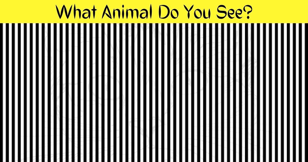 what animal do you see.jpg?resize=1200,630 - 90% Of Viewers Couldn’t Spot The Hidden Animal In This Optical Illusion! How Fast Can You Find It?
