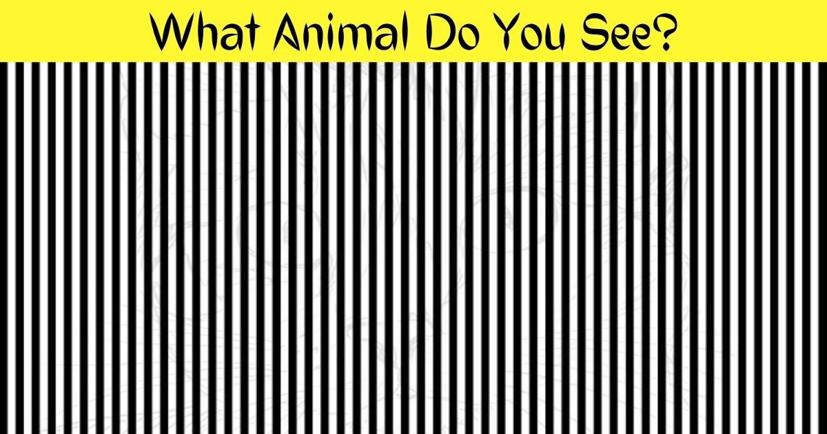 what animal do you see.jpg?resize=412,275 - 90% Of Viewers Couldn’t Spot The Hidden Animal In This Optical Illusion! How Fast Can You Find It?