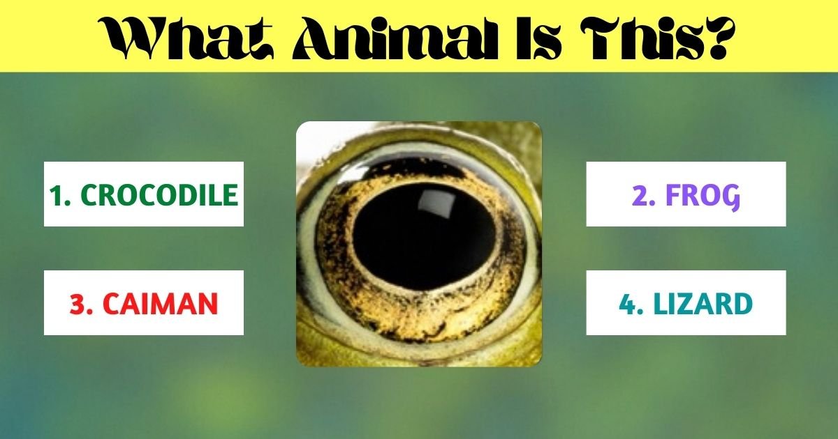 what animal is this.jpg?resize=412,275 - What Animal Does This Eye Belong To? Think Twice Before Answering!