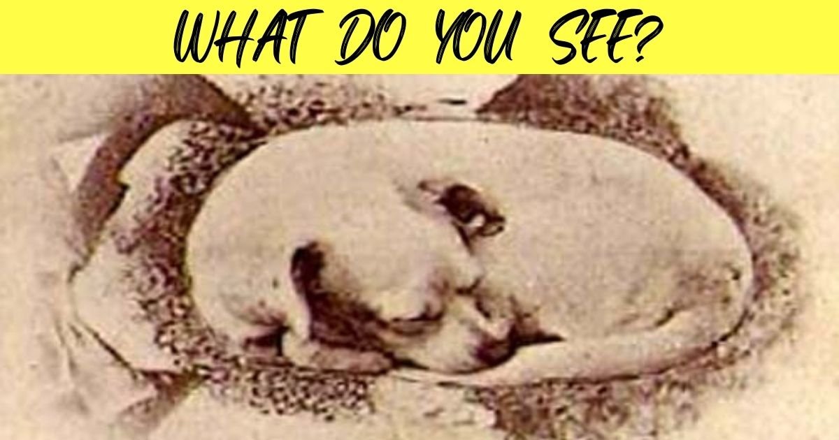 what do you see.jpg?resize=1200,630 - Can You Spot A Dog In This Vintage Graphic? How About The Dog’s Owner?