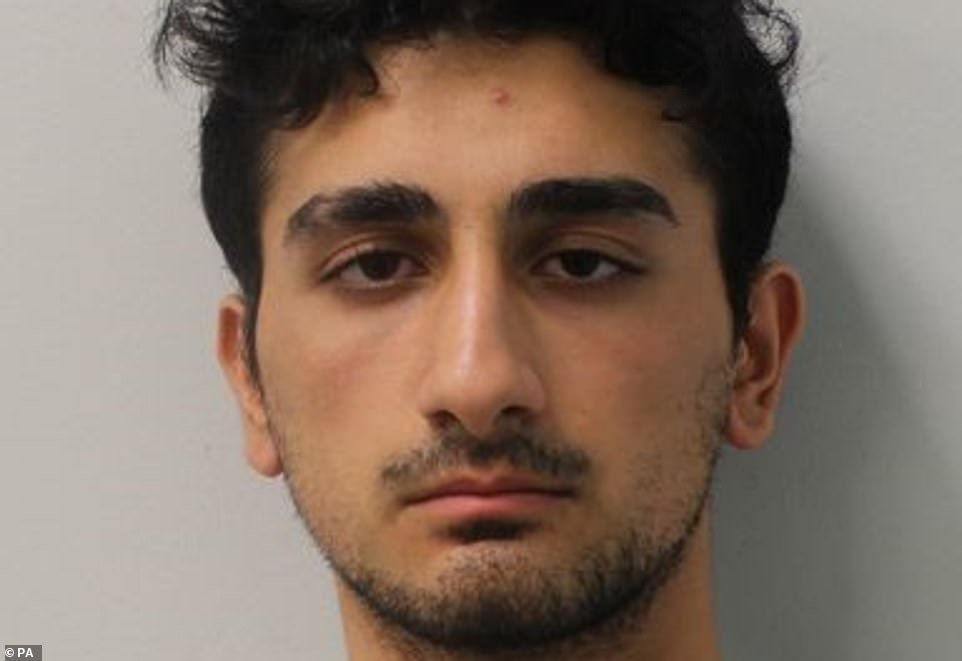 Murderer: Danyal Hussein, 19, who killed sisters Bibaa Henry, 46, and Nicole Smallman, 27, seen here in his police mugshot